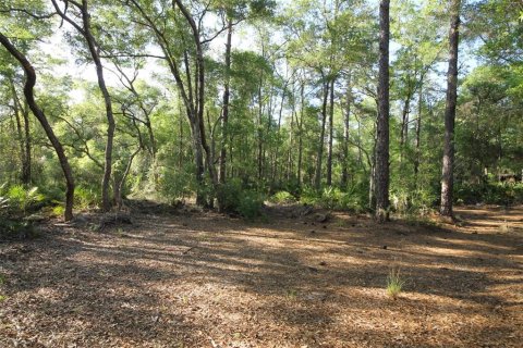 Land in Homosassa, Florida № 2159728 - photo 7