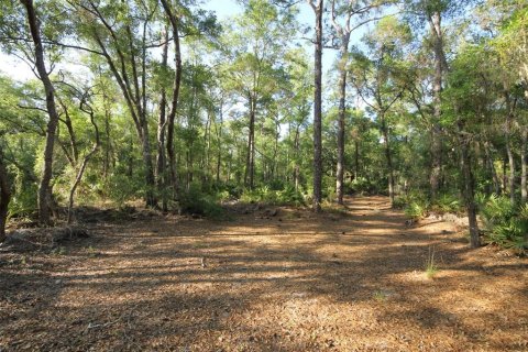 Land in Homosassa, Florida № 2159728 - photo 6