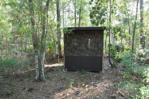 Land in Homosassa, Florida № 2159728 - photo 2