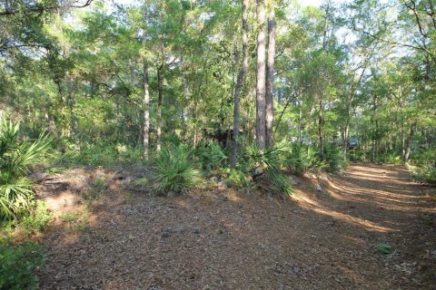 Land in Homosassa, Florida № 2159728 - photo 8