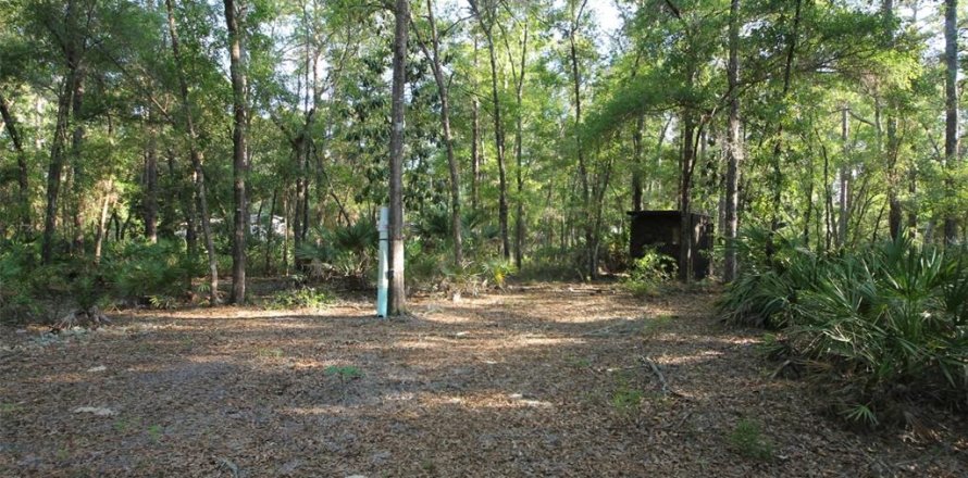 Land in Homosassa, Florida № 2159728