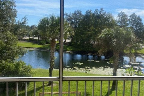 Copropriété à louer à Tampa, Floride: 1 chambre, 72.46 m2 № 2388994 - photo 29