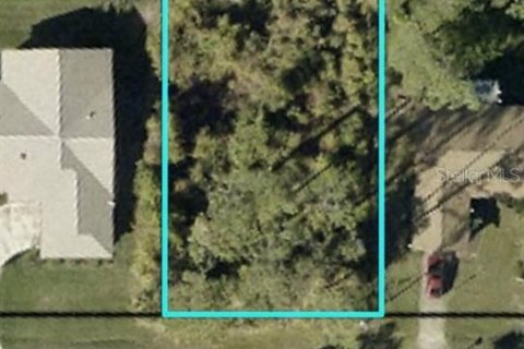 Land in Palm Coast, Florida № 2157800 - photo 2