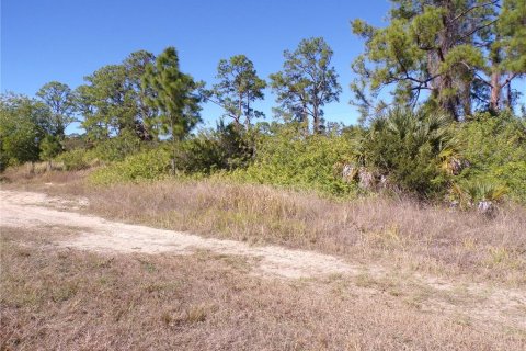 Land in Lehigh Acres, Florida № 2158977 - photo 15