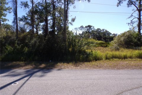 Land in Lehigh Acres, Florida № 2158977 - photo 2
