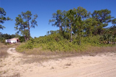 Land in Lehigh Acres, Florida № 2158977 - photo 13