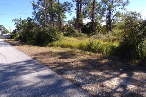 Land in Lehigh Acres, Florida № 2158977 - photo 7