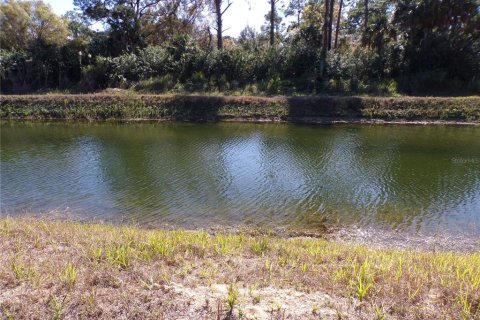Land in Lehigh Acres, Florida № 2158977 - photo 10