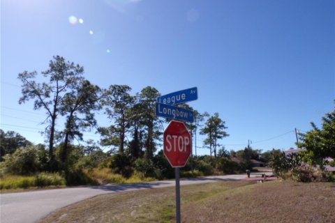 Land in Lehigh Acres, Florida № 2158977 - photo 9