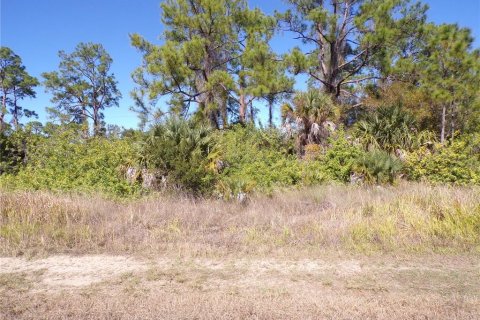 Land in Lehigh Acres, Florida № 2158977 - photo 14