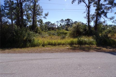 Land in Lehigh Acres, Florida № 2158977