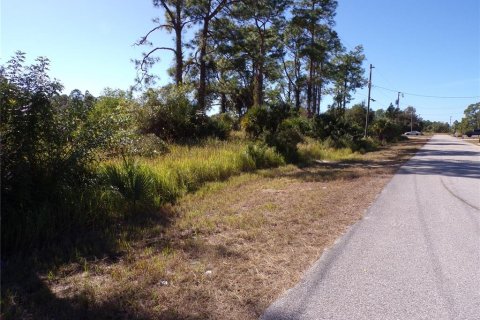 Land in Lehigh Acres, Florida № 2158977 - photo 4