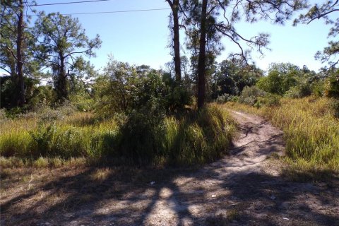 Land in Lehigh Acres, Florida № 2158977 - photo 5