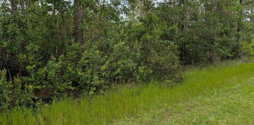 Terrain à Indian lake estates, Floride № 2160870