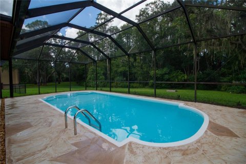 Villa ou maison à vendre à New Port Richey, Floride: 4 chambres, 314.75 m2 № 1915579 - photo 23