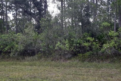 Terreno en Indian lake estates, Florida № 2163856