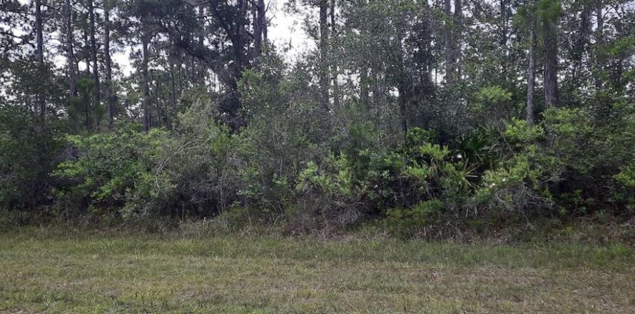 Land in Indian lake estates, Florida № 2163856
