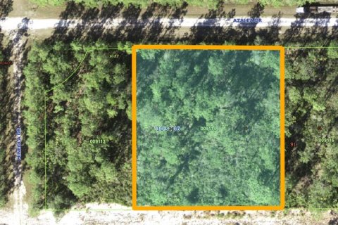 Land in Indian lake estates, Florida № 2163856 - photo 2