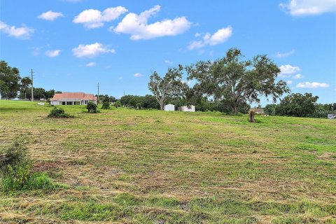 Terreno en venta en Groveland, Florida № 1876874 - foto 5