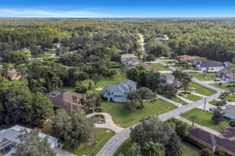 Villa ou maison à vendre à New Port Richey, Floride: 5 chambres, 392.7 m2 № 2202926 - photo 9