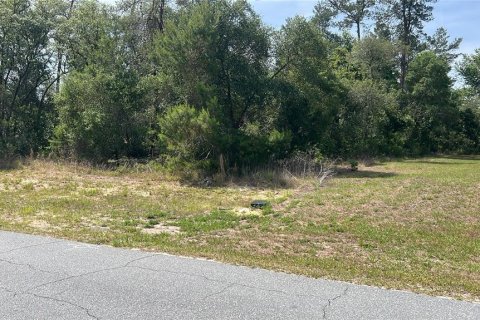 Land in Ocala, Florida № 2165617 - photo 2