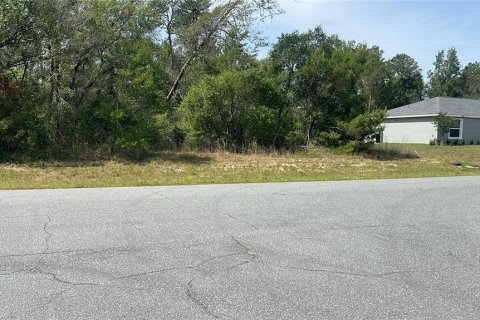 Land in Ocala, Florida № 2165617
