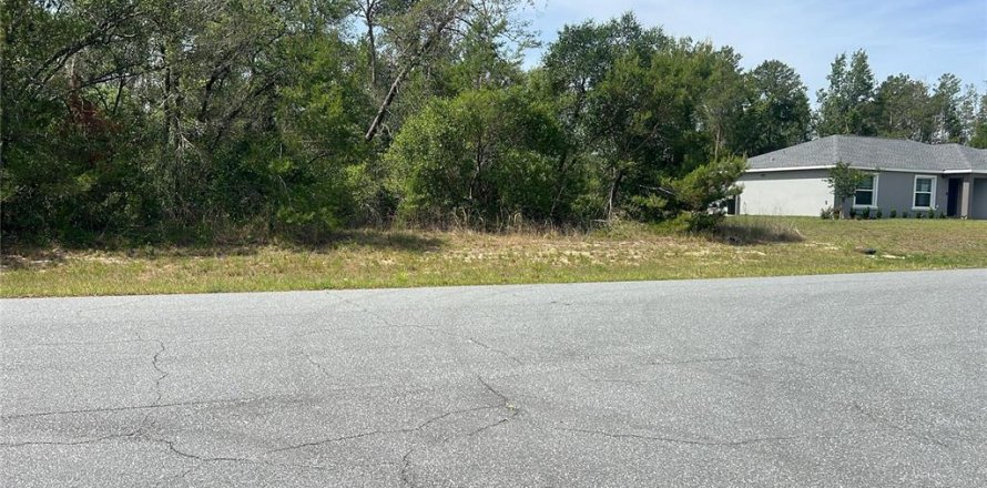Land in Ocala, Florida № 2165617