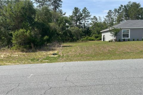Land in Ocala, Florida № 2165617 - photo 3