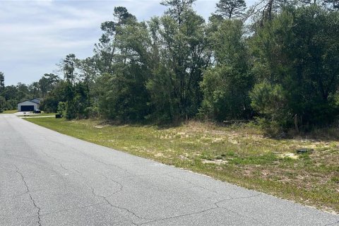 Land in Ocala, Florida № 2165617 - photo 4
