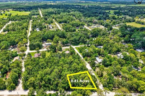 Terreno en Williston, Florida № 2164402