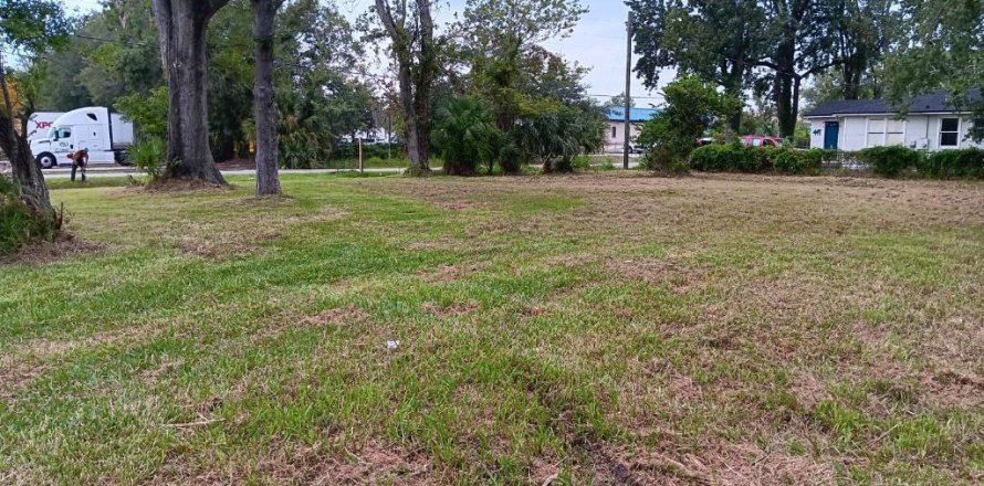 Land in Jacksonville, Florida № 885728