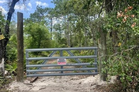Terrain à vendre à Homosassa, Floride № 2206164 - photo 2