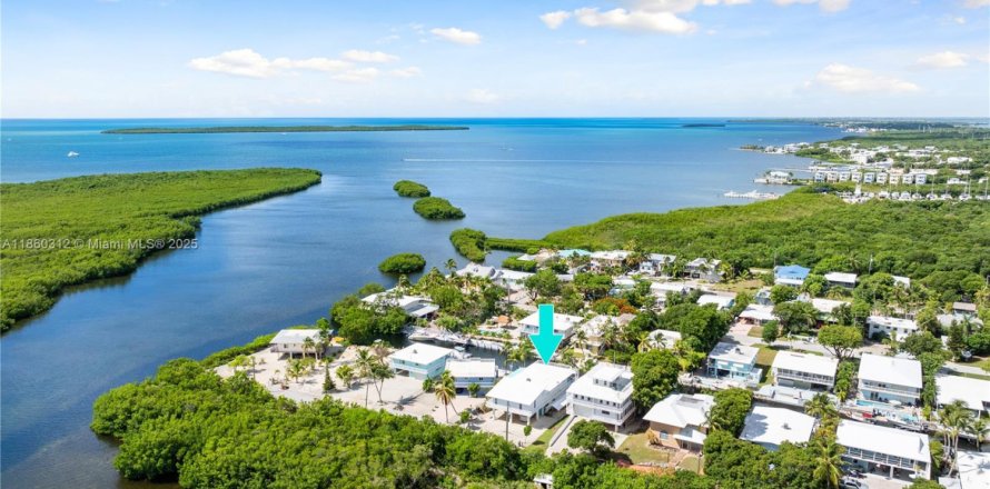 House in Key Largo, Florida 4 bedrooms, 289.86 sq.m. № 1890114
