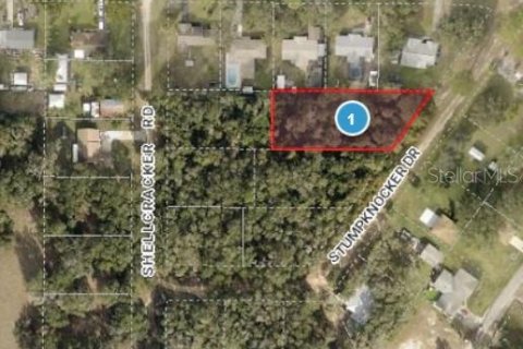Land in Fruitland Park, Florida № 1592116 - photo 1