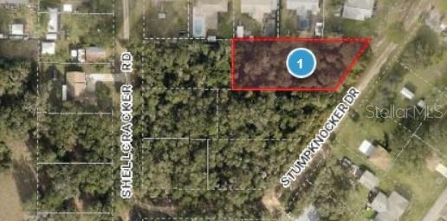 Land in Fruitland Park, Florida № 1592116