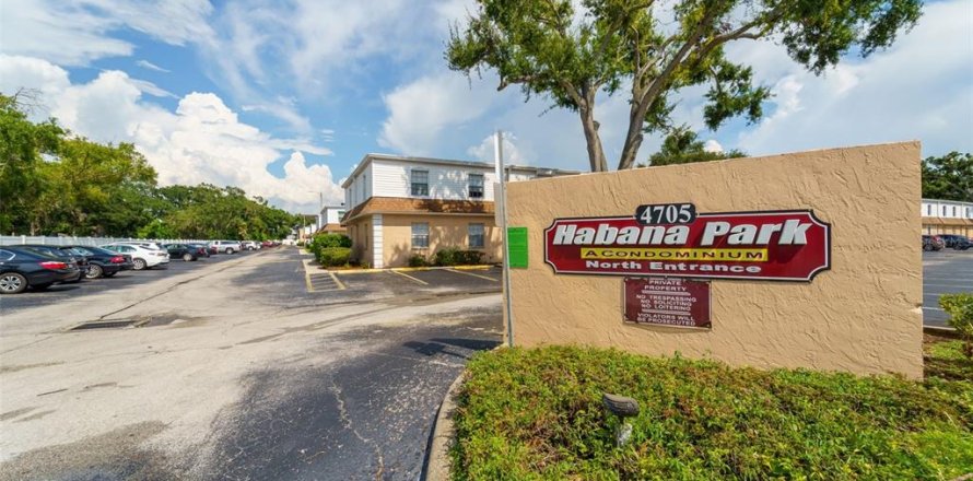 Condo à Tampa, Floride, 2 chambres № 1901392