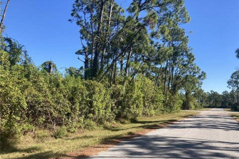 Land in Port Charlotte, Florida № 2159088 - photo 3
