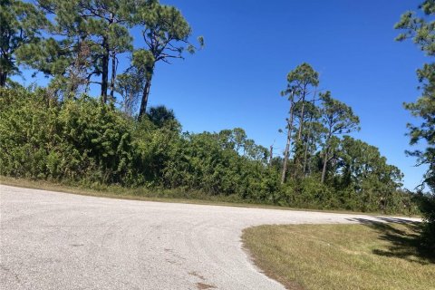 Land in Port Charlotte, Florida № 2159088 - photo 5