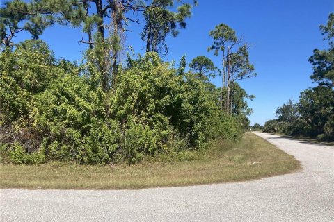 Land in Port Charlotte, Florida № 2159088 - photo 4