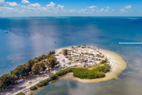 Condominio en alquiler en Tarpon Springs, Florida, 2 dormitorios, 91.04 m2 № 1875924 - foto 20