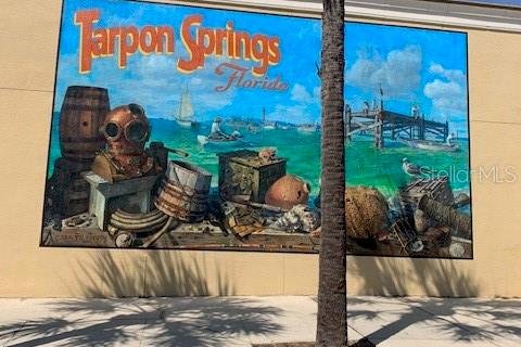 Condominio en alquiler en Tarpon Springs, Florida, 2 dormitorios, 91.04 m2 № 1875924 - foto 23
