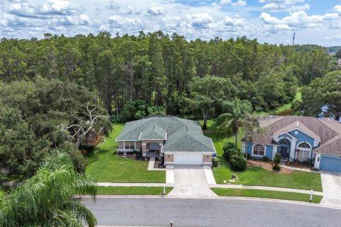 House in New Port Richey, Florida 3 bedrooms, 189.52 sq.m. № 1916003 - photo 2