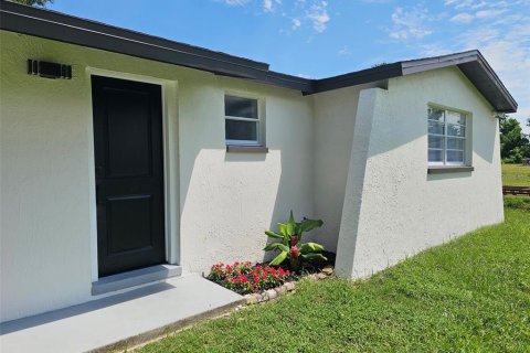 Villa ou maison à vendre à Thonotosassa, Floride: 3 chambres, 162.02 m2 № 1919073 - photo 3