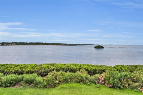 Condo in Tarpon Springs, Florida, 2 bedrooms  № 2395994 - photo 20