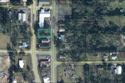 Land in Graceville, Florida № 2163898 - photo 4