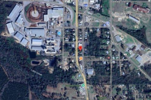 Land in Graceville, Florida № 2163898 - photo 6