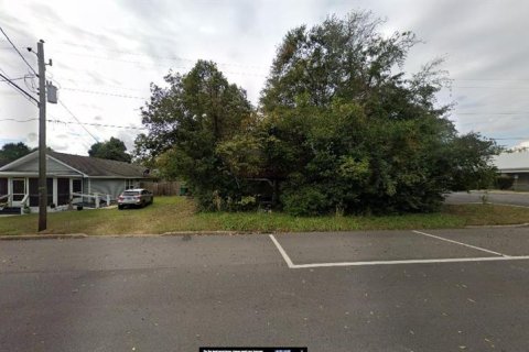 Land in Graceville, Florida № 2163898 - photo 2