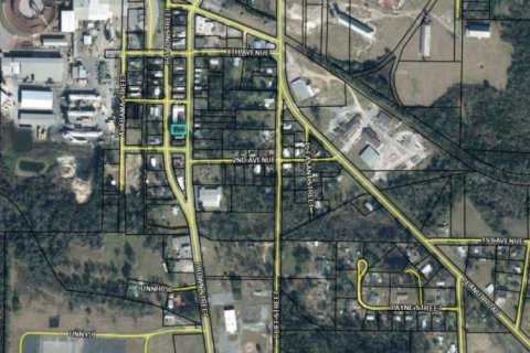 Land in Graceville, Florida № 2163898 - photo 5