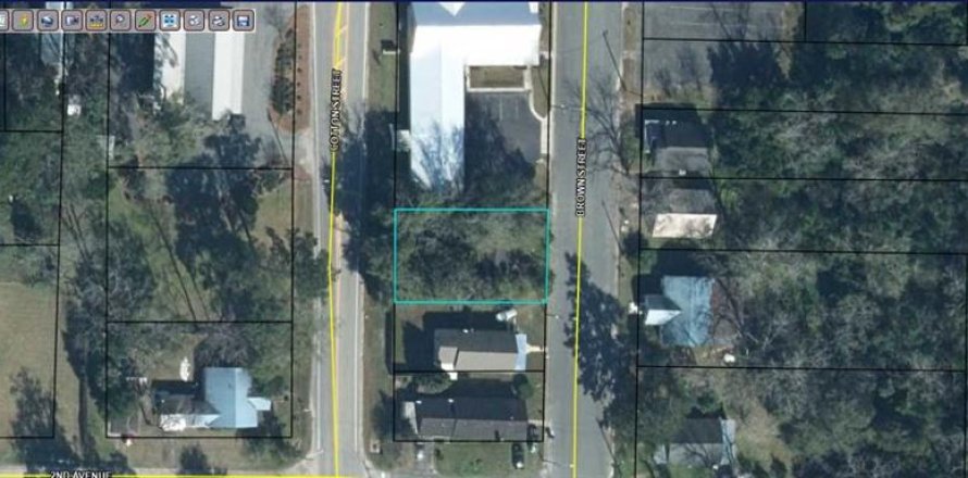 Land in Graceville, Florida № 2163898
