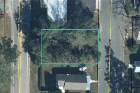 Land in Graceville, Florida № 2163898 - photo 3